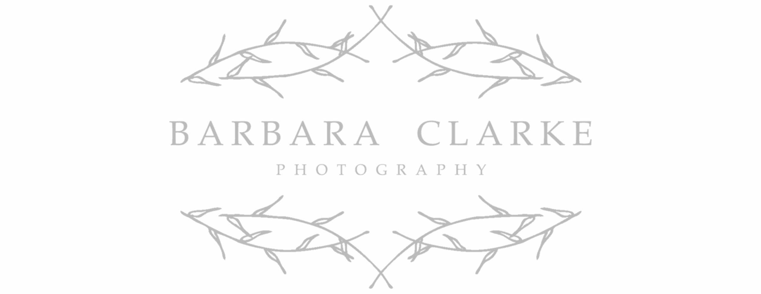 Barbara Clarke Photography