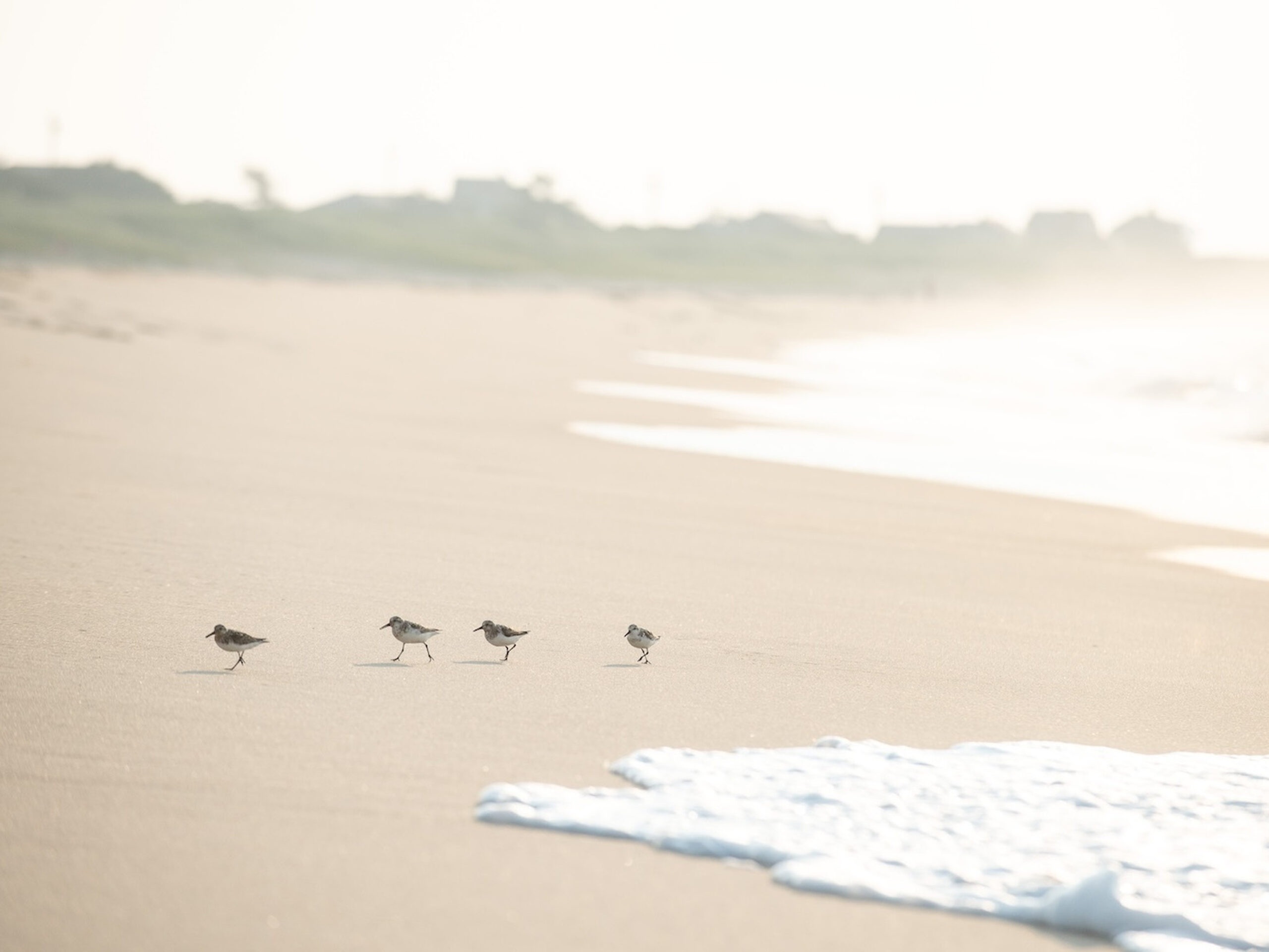 SurfsidePipers-0001-43