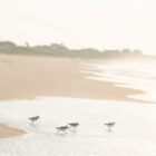 SurfsidePipers-0002-43