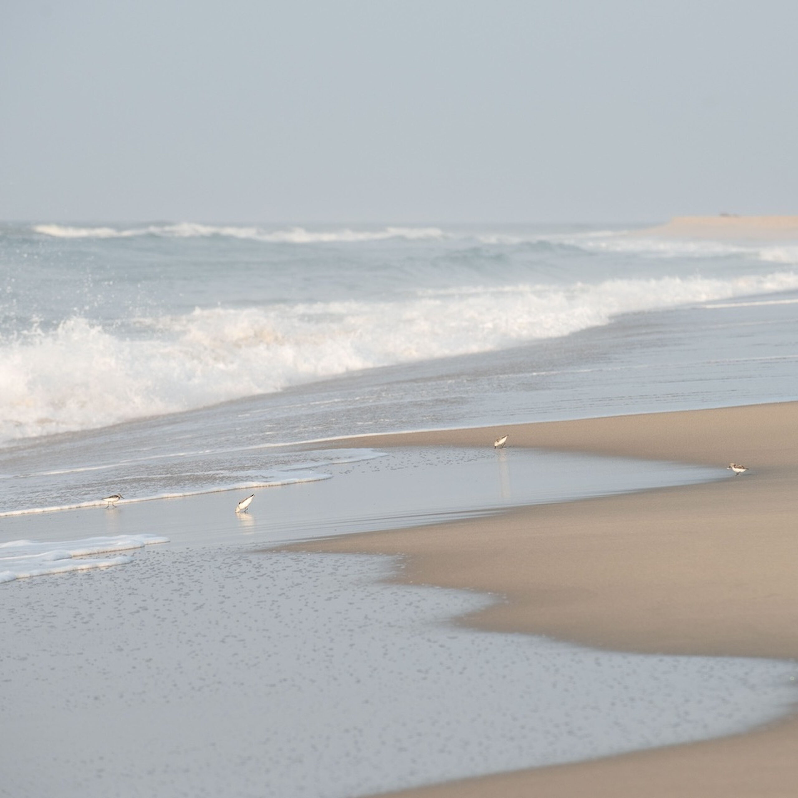 SurfsidePipers-0005-11