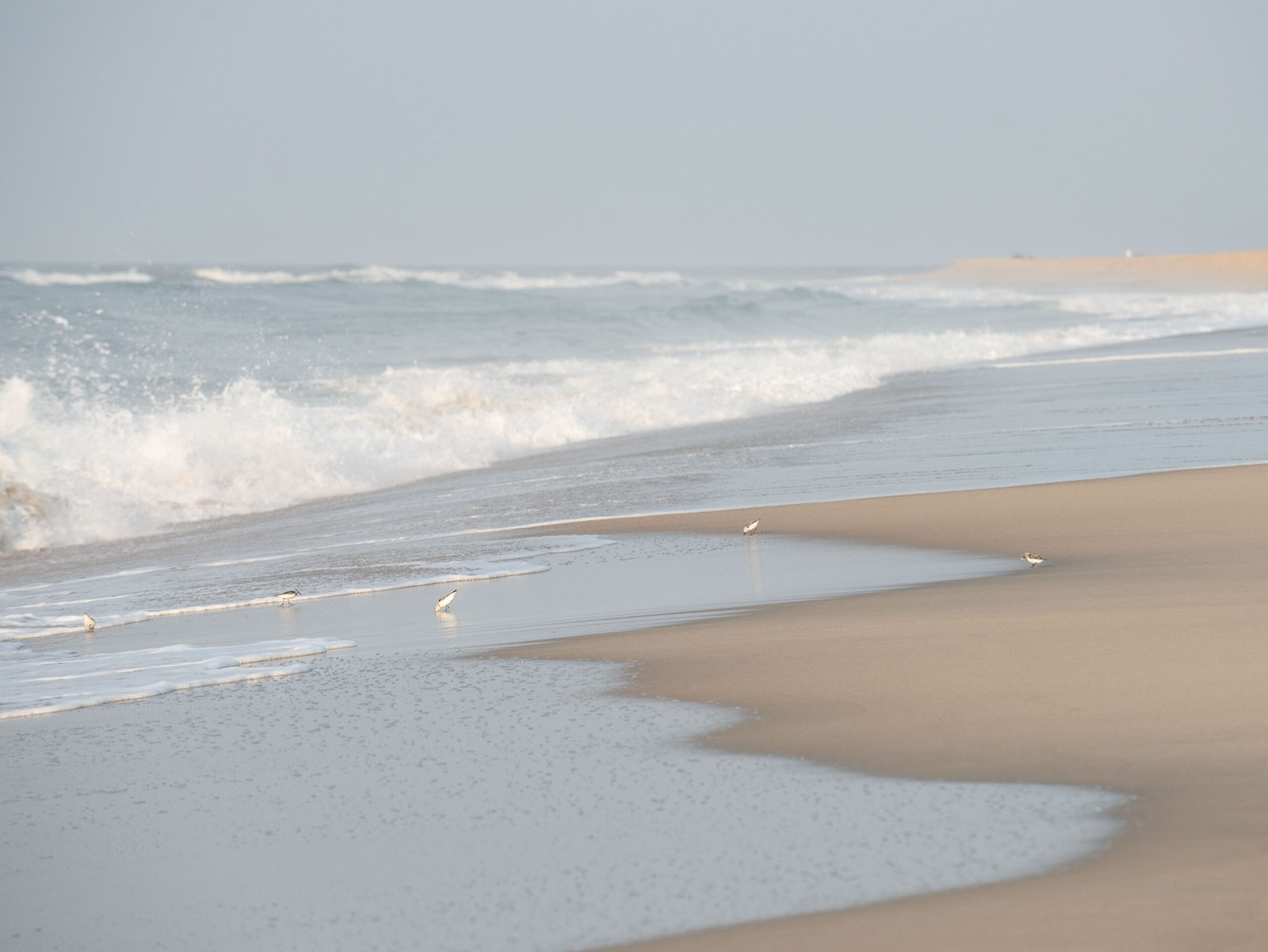 SurfsidePipers-0005-43