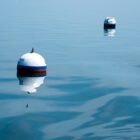 BigBlue-11