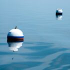 BigBlue-32