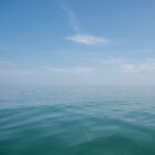 Deadcalm-11