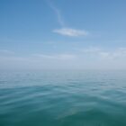 Deadcalm-45